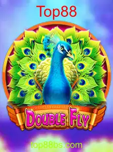 DoubleFly